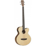 Tanglewood - Discovery DBT ABBW