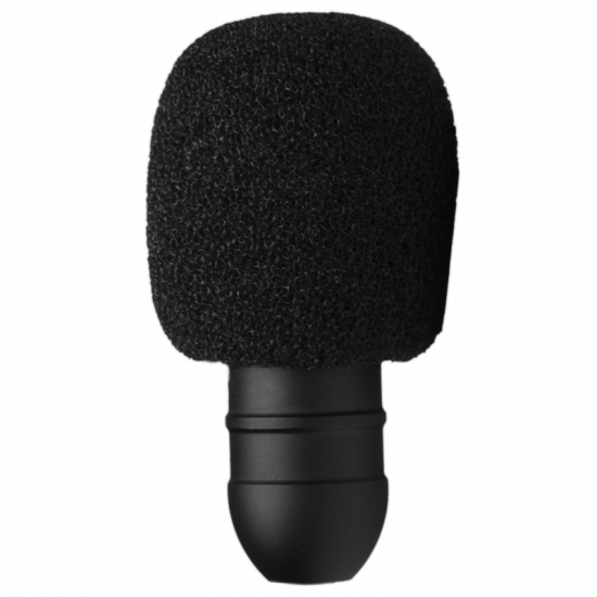 Prodipe GL21 Guitare et ukulélé