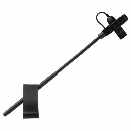 Prodipe BL21 contrebasse