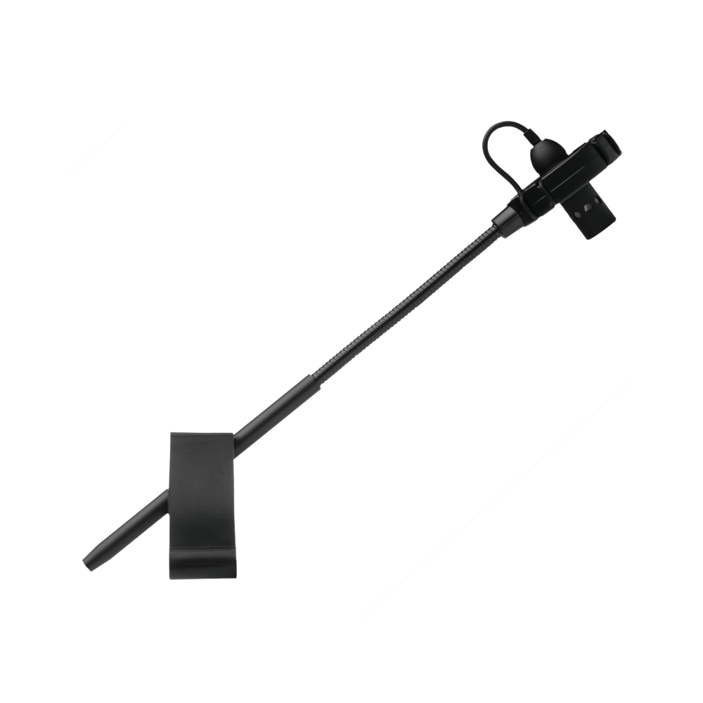 Prodipe BL21 contrebasse