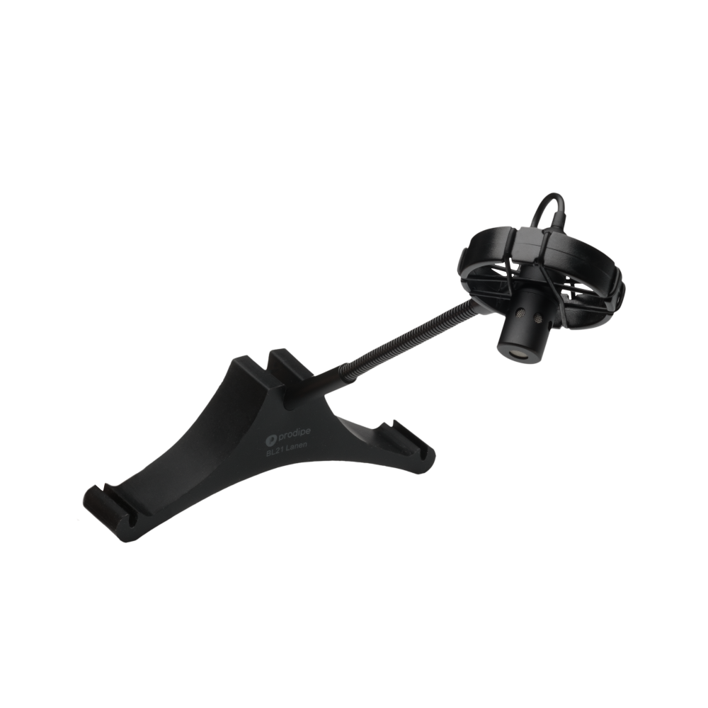 Prodipe BL21 contrebasse