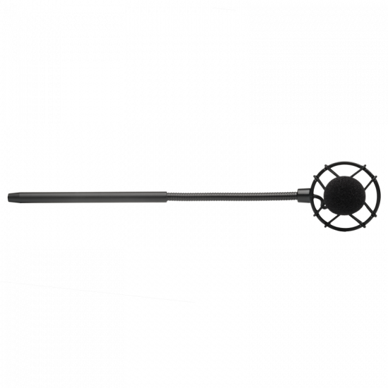 Prodipe BL21 contrebasse