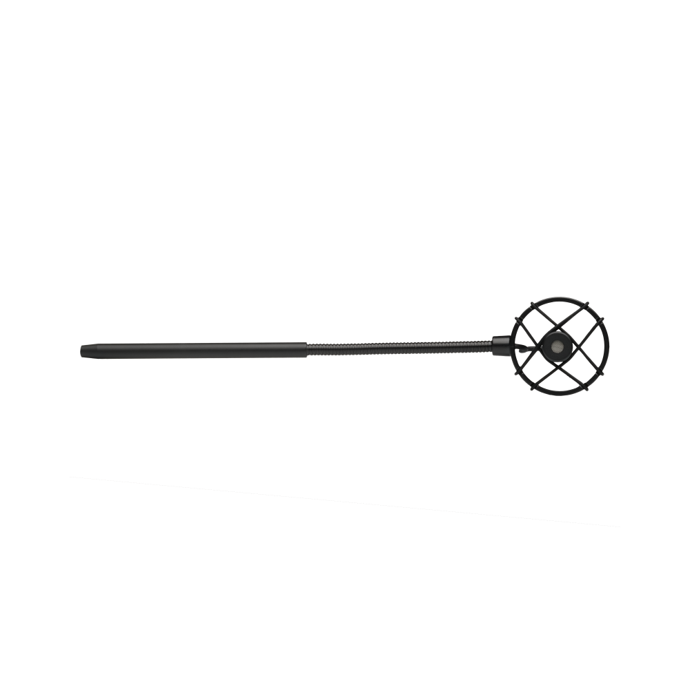 Prodipe BL21 contrebasse