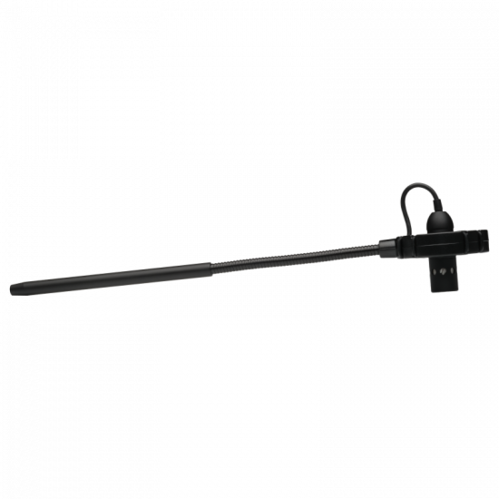 Prodipe BL21 contrebasse