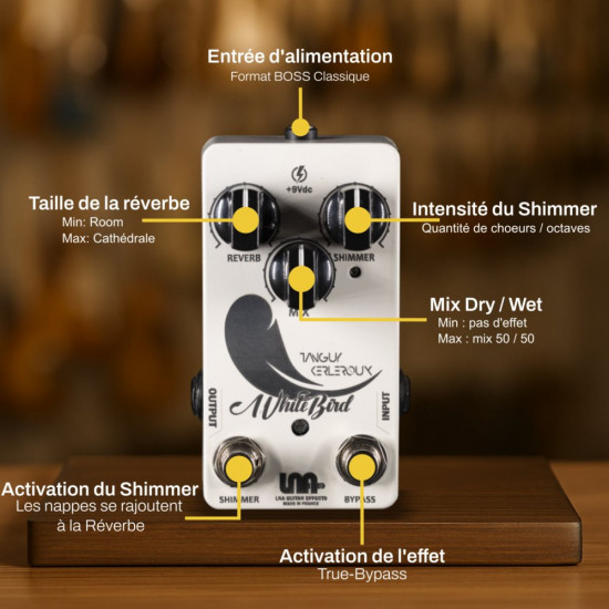 LNA Reverb-Shimmer White Bird  TEKA