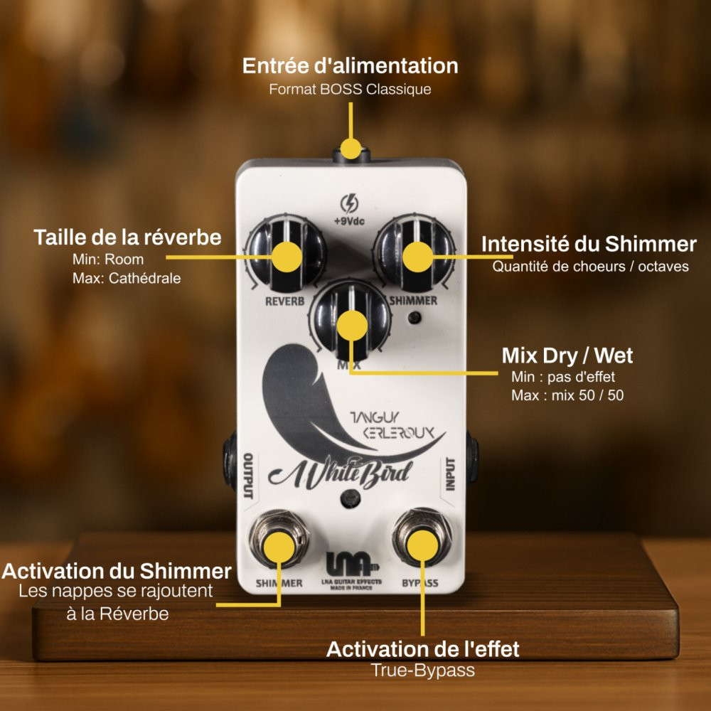 LNA Reverb-Shimmer White Bird  TEKA
