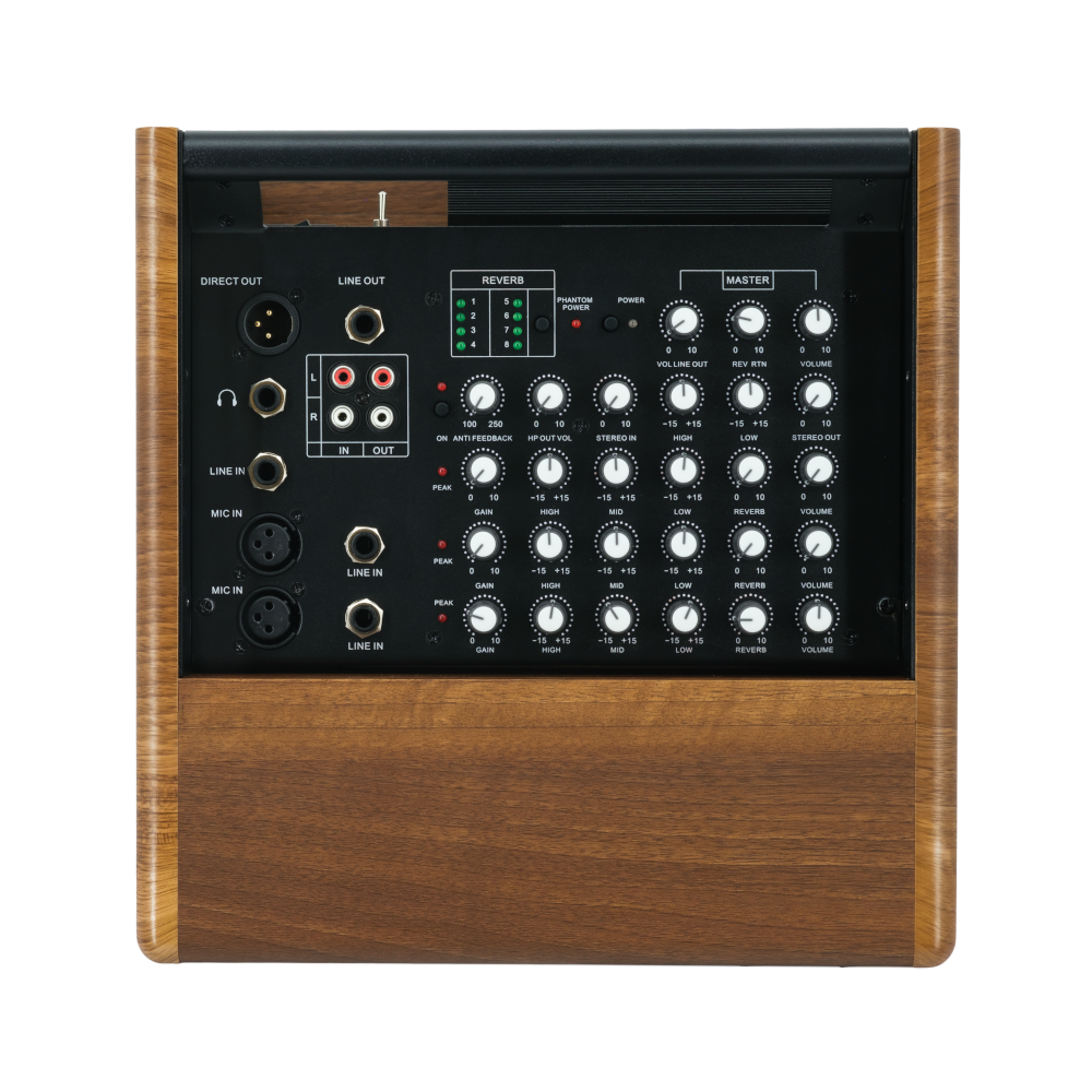 Prodipe Natural 6 Walnut Wood