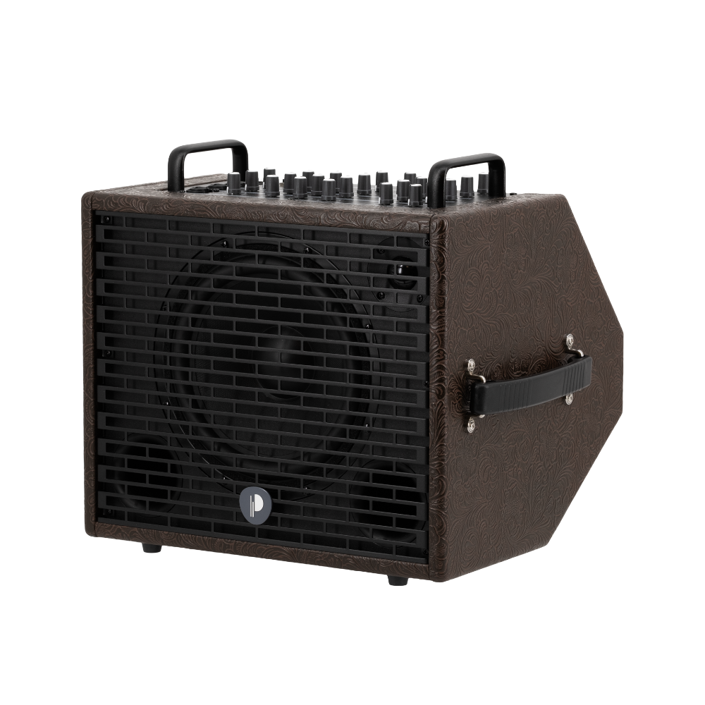 Prodipe traveler 6 combo acoustique autonome sur batterie