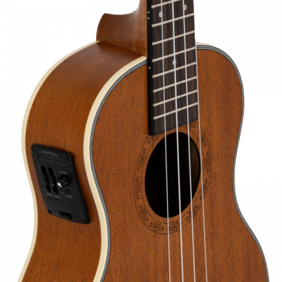 Prodipe BT3 EQ Acajou