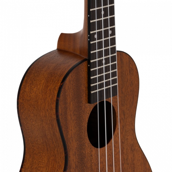 Prodipe BC210 Acajou Mahogany