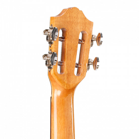 Prodipe BC420 table cèdre massif, dos bombé + housse