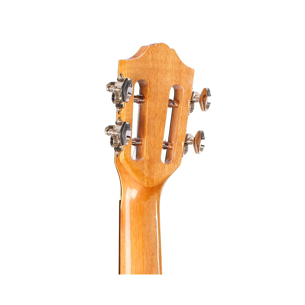 Prodipe BC420 table cèdre massif, dos bombé + housse