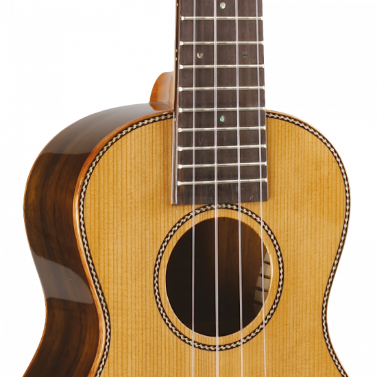 Prodipe BC420 table cèdre massif, dos bombé + housse