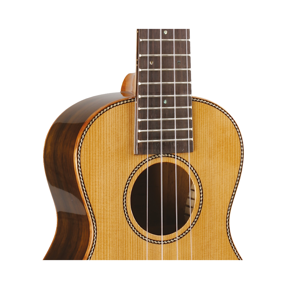 Prodipe BC420 table cèdre massif, dos bombé + housse