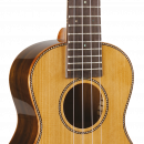 Prodipe BC420 table cèdre massif, dos bombé + housse