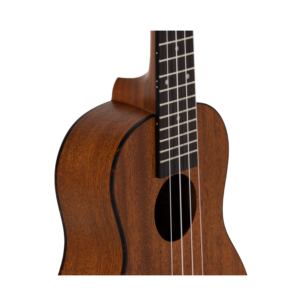 Prodipe BC210 Acajou Mahogany EQ