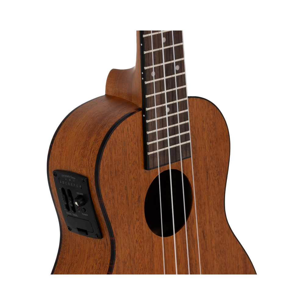 Prodipe BC210 Acajou Mahogany EQ