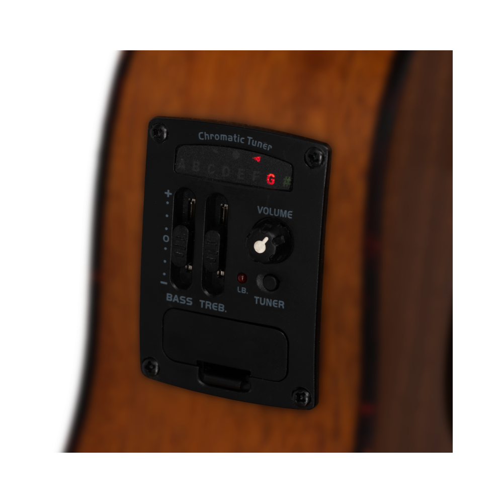 Prodipe BC210 Acajou Mahogany EQ