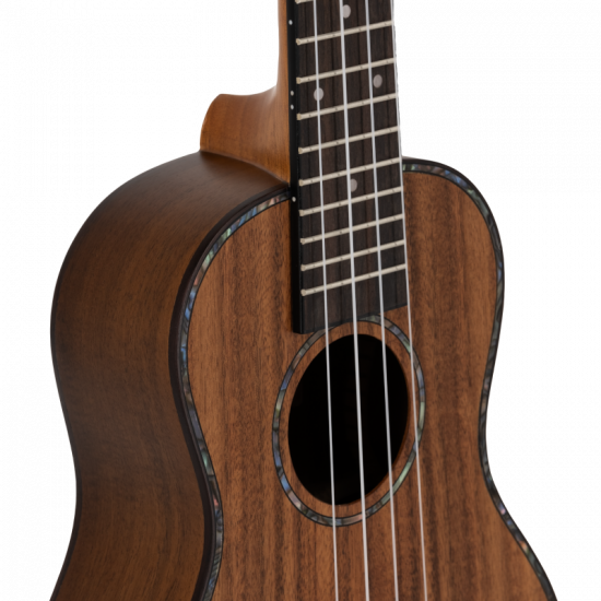 Prodipe BC2380 Koa