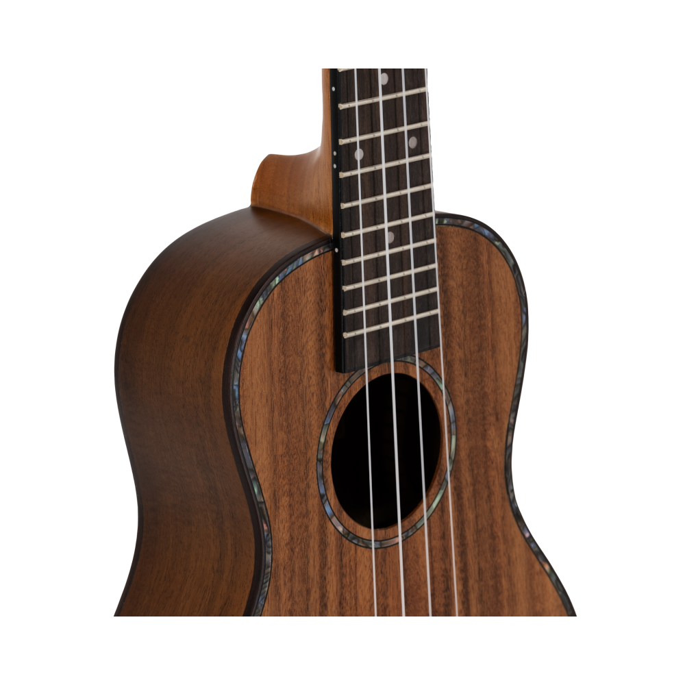 Prodipe BC2380 Koa