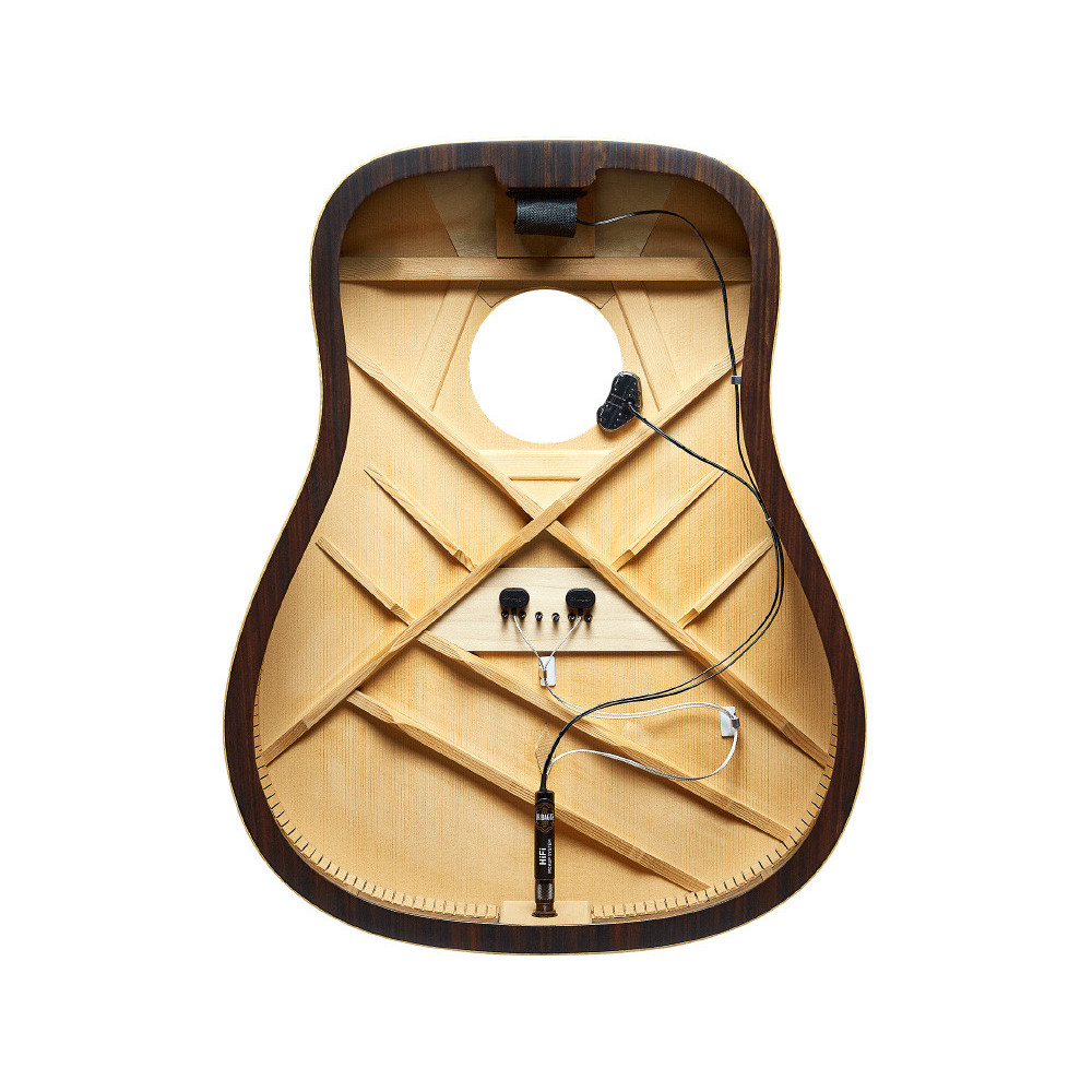 L.R. Baggs Hifi Pickup system