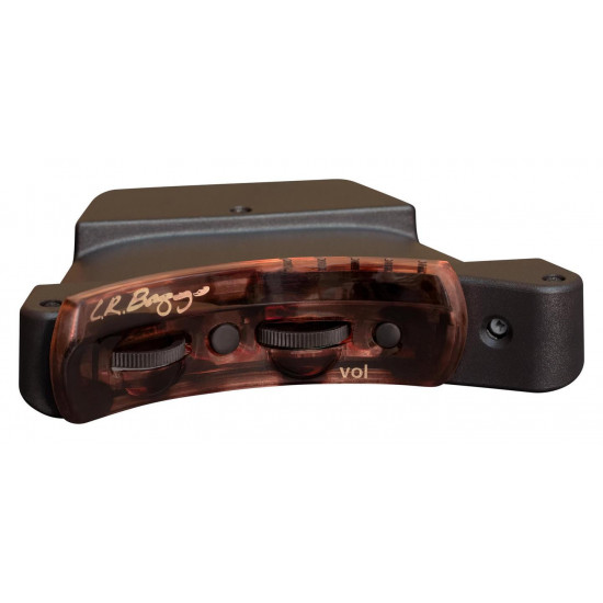 L.R. Baggs Session VTC