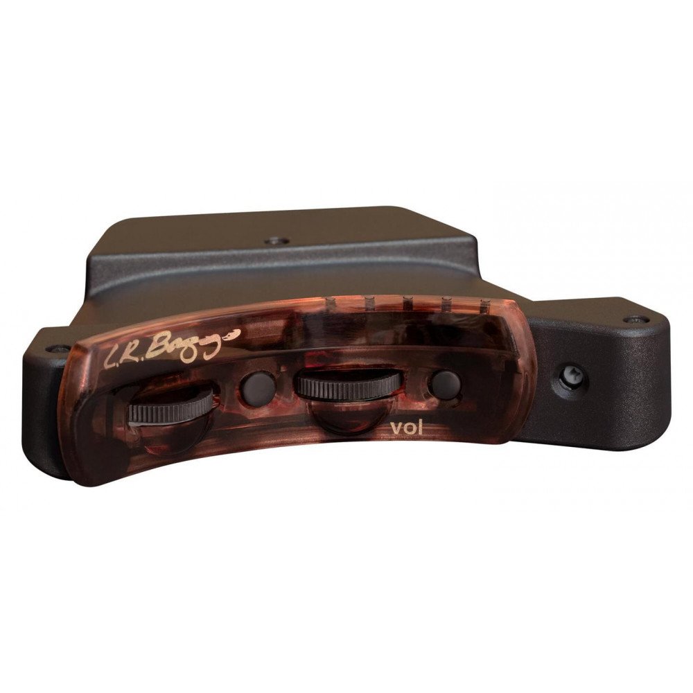 L.R. Baggs Session VTC