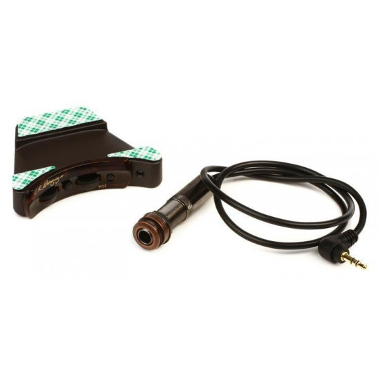 L.R. Baggs Session VTC