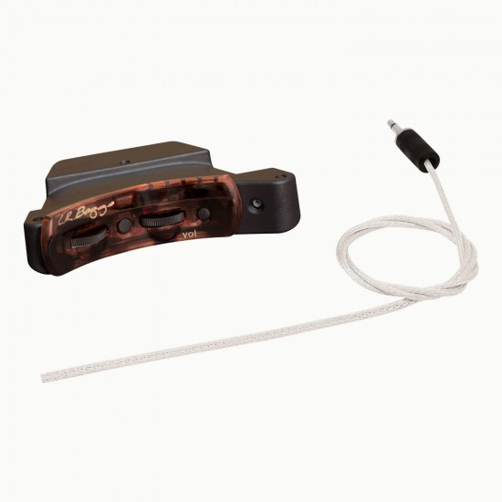 L.R. Baggs Session VTC