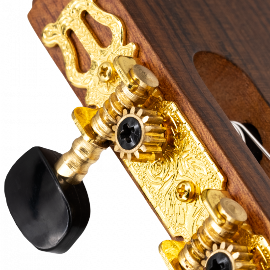 Prodipe Primera 4/4 CEQ