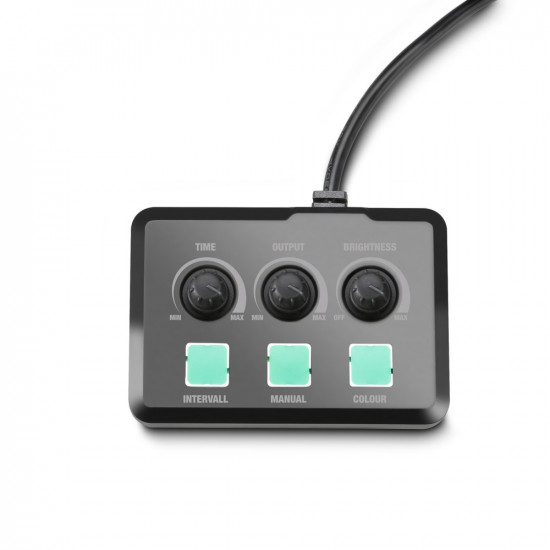 Cameo Steam Wizard 1000