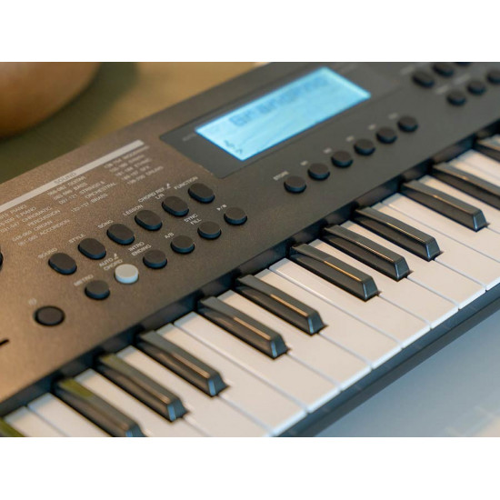 Medeli Nebula MK49 clavier arrangeur 49 touches