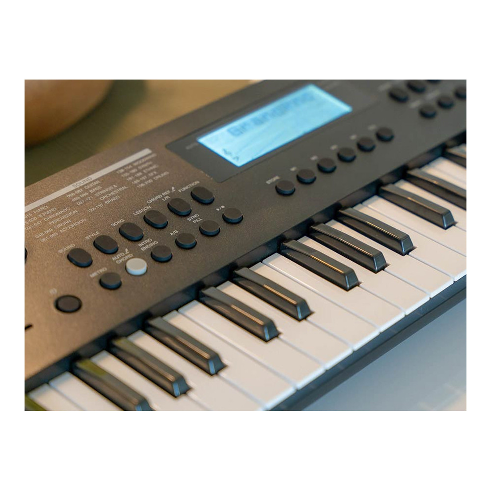 Medeli Nebula MK49 clavier arrangeur 49 touches