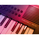 Medeli Nebula MK49 clavier arrangeur 49 touches