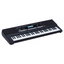 Medeli series Millenium MK300