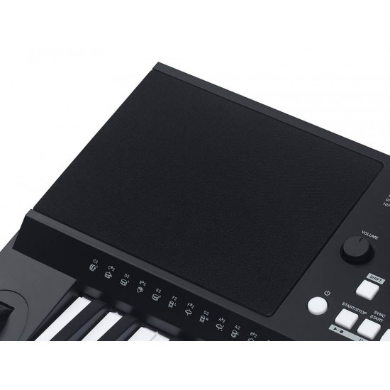 Medeli series Millenium MK300