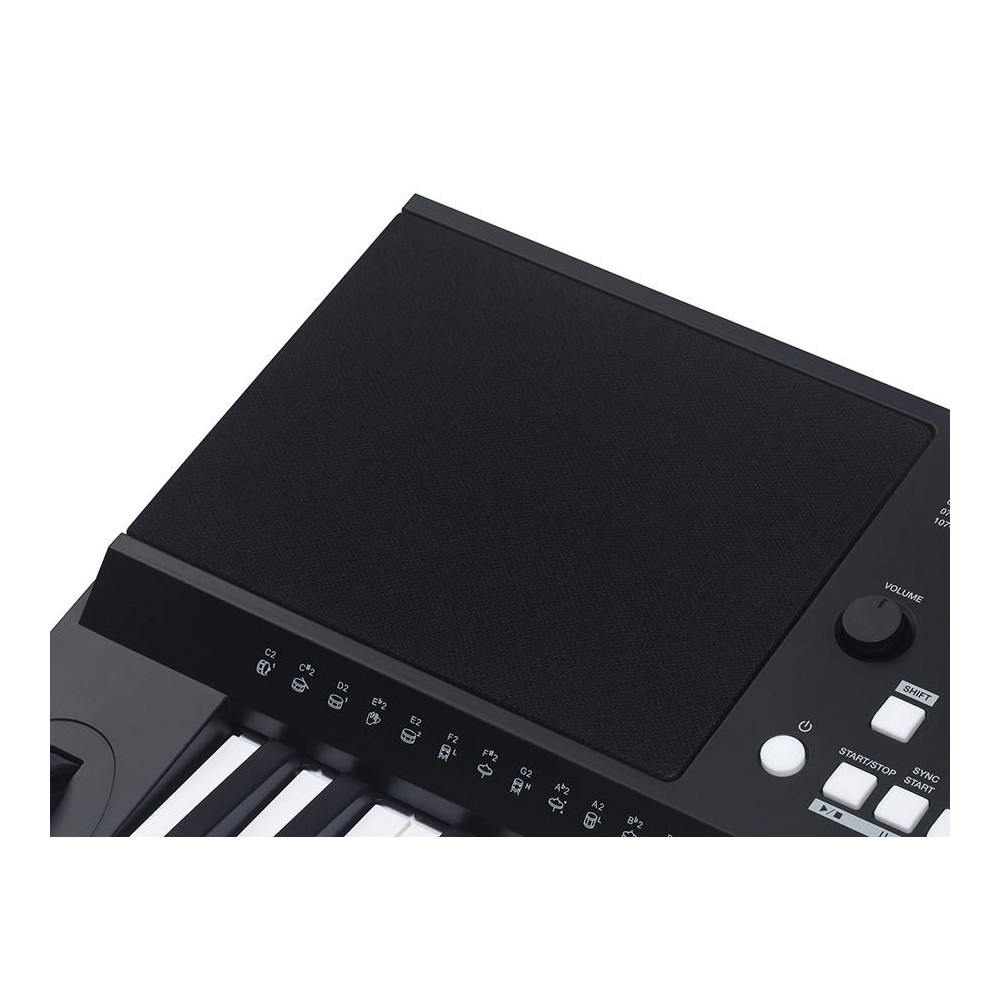 Medeli series Millenium MK300