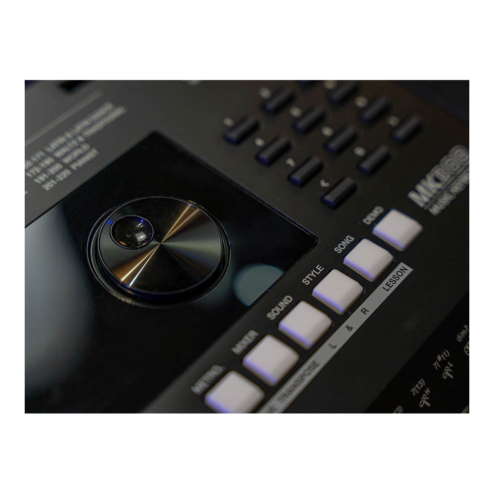 Medeli series Millenium MK300