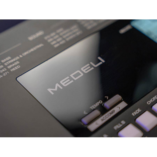 Medeli series Millenium MK300