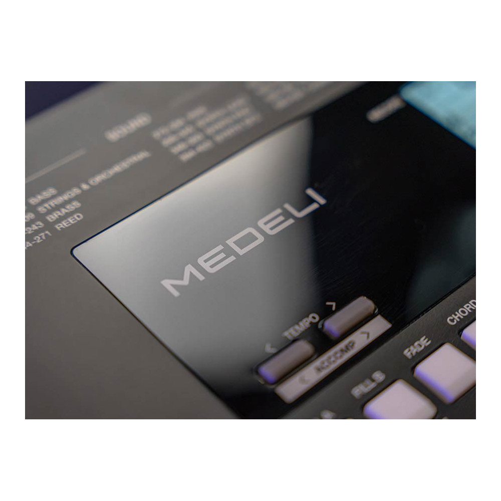 Medeli series Millenium MK300