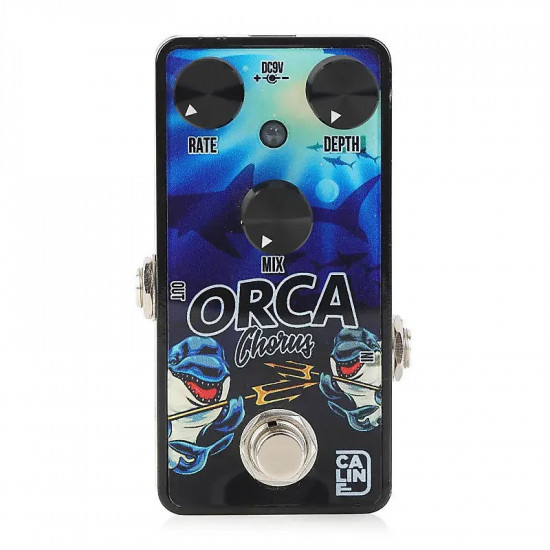 Caline Orca Chorus