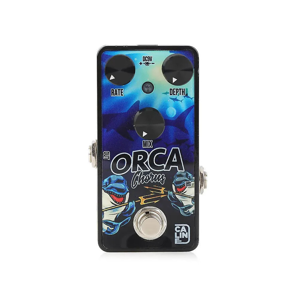 Caline Orca Chorus