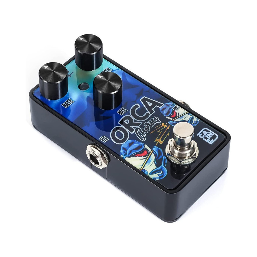Caline Orca Chorus