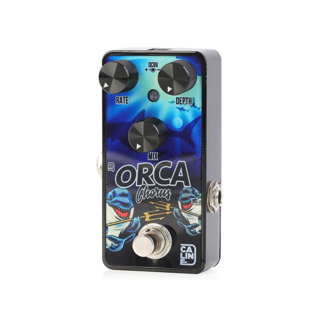 Caline Orca Chorus