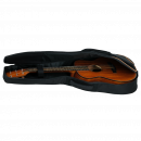 Prodipe BB27 MHS EQ avec housse