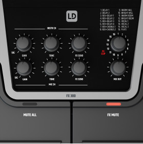 LD System FX 300 guitare & voix avec housse et alimentation