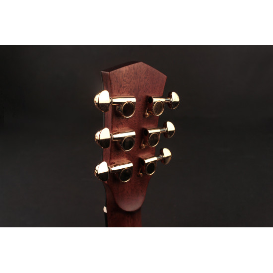 Cort Gold Mini Nat