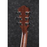 Ibanez AE 275 LGS