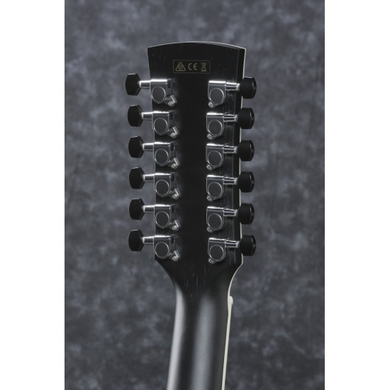 Ibanez AW8412 CE Weathered Black