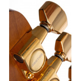 Magneto Sonnet Rawdawg RD3 Sunset Gold E. Gales